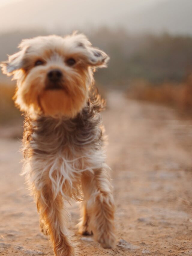 alvan-nee-T-0EW-SEbsE-unsplash