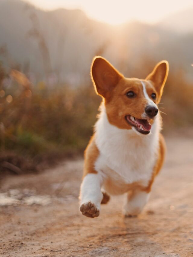 alvan-nee-T-0EW-SEbsE-unsplash