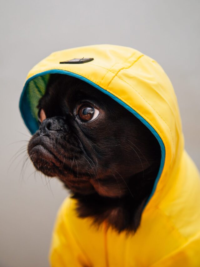 charlesdeluvio-lJJlaUWYrPE-unsplash