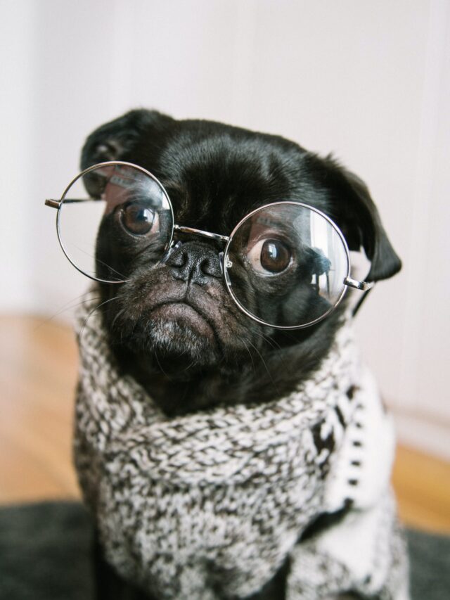 charlesdeluvio-pOUA8Xay514-unsplash