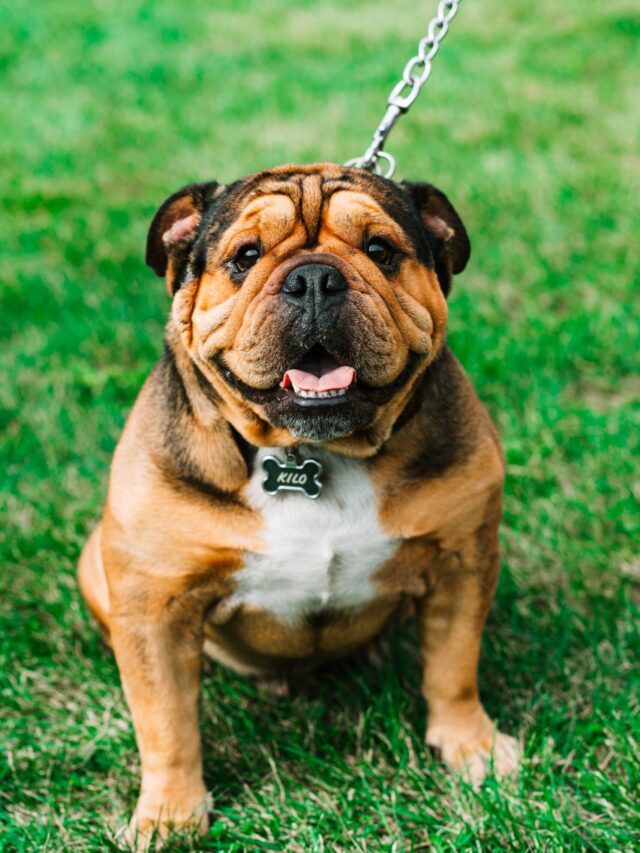hermes-rivera-yeDt1JvaLBQ-unsplash