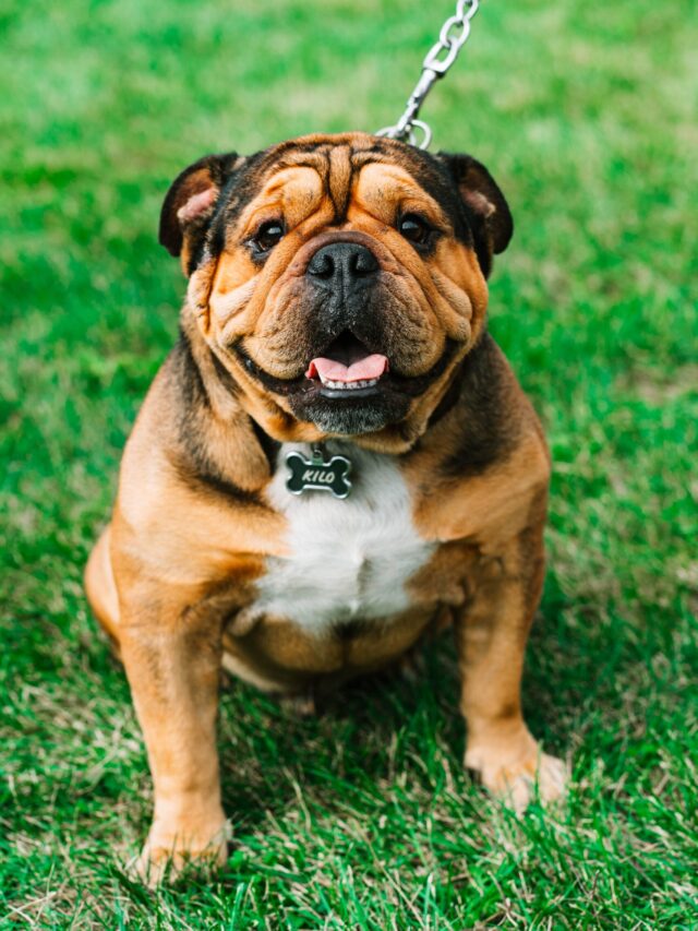 hermes-rivera-yeDt1JvaLBQ-unsplash