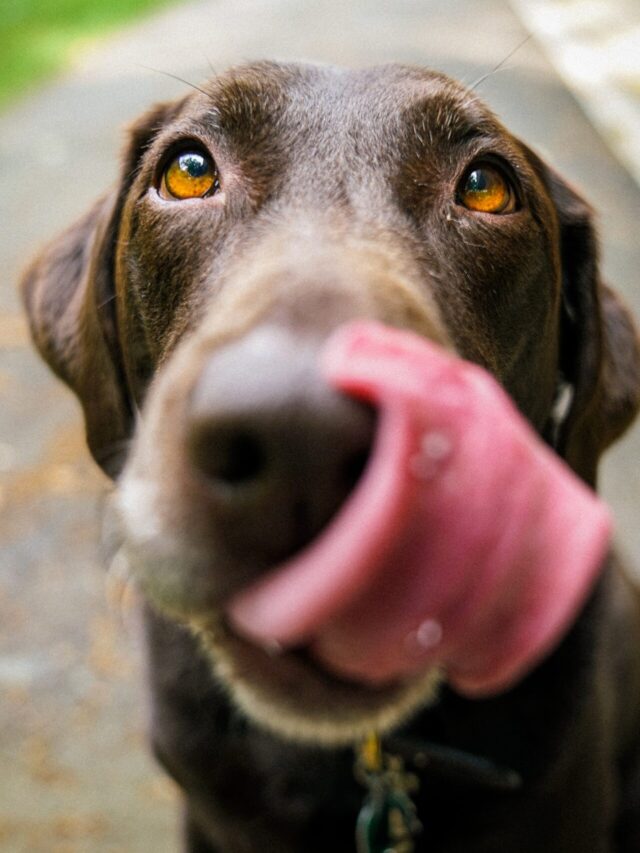 james-barker-v3-zcCWMjgM-unsplash