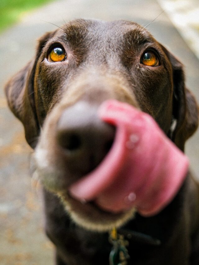 james-barker-v3-zcCWMjgM-unsplash