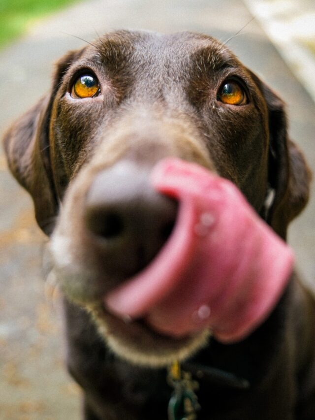 james-barker-v3-zcCWMjgM-unsplash