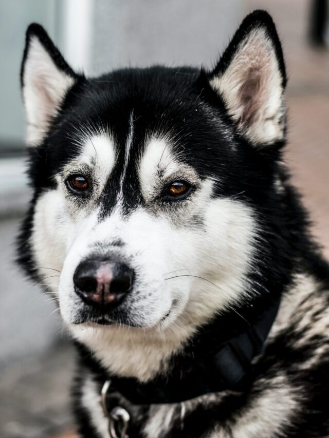 kieran-white-NKN25UfGfkQ-unsplash