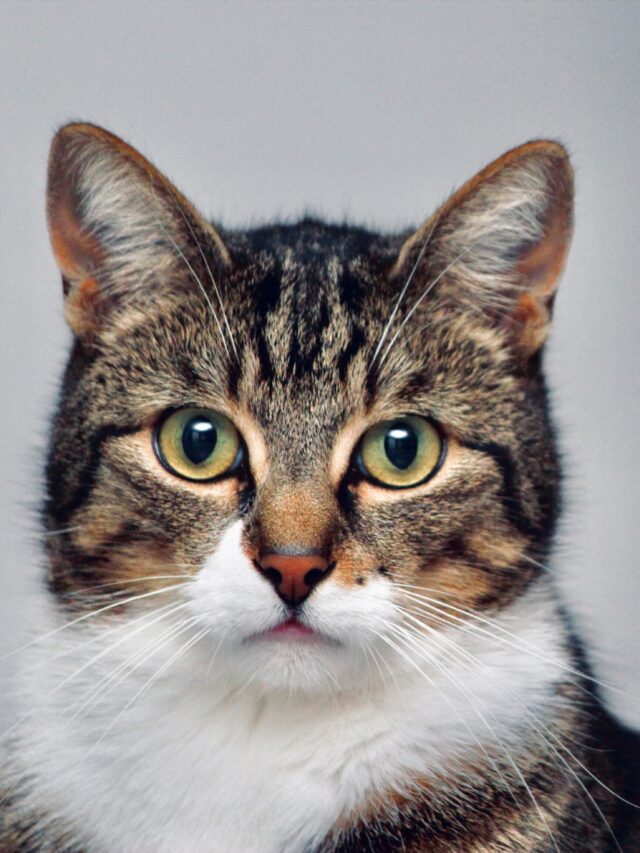 lloyd-henneman-mBRfYA0dYYE-unsplash