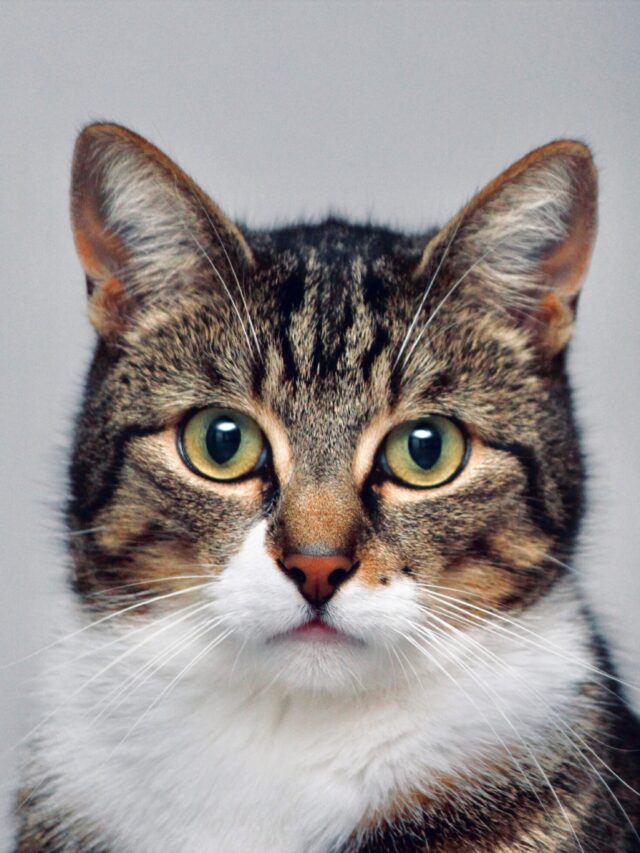 lloyd-henneman-mBRfYA0dYYE-unsplash