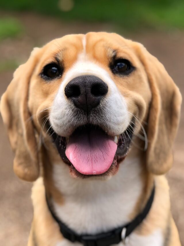milli-2l0CWTpcChI-unsplash