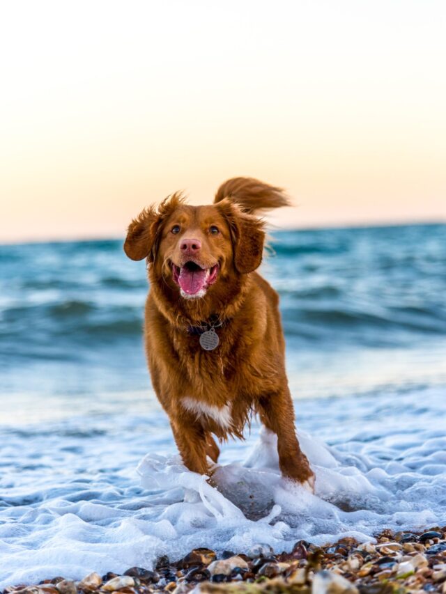 oscar-sutton-yihlaRCCvd4-unsplash