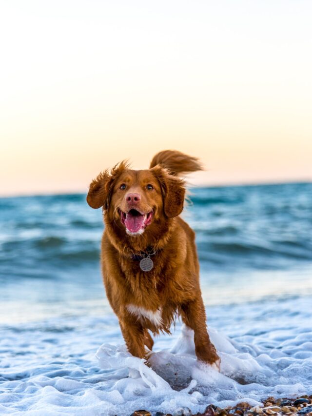 oscar-sutton-yihlaRCCvd4-unsplash