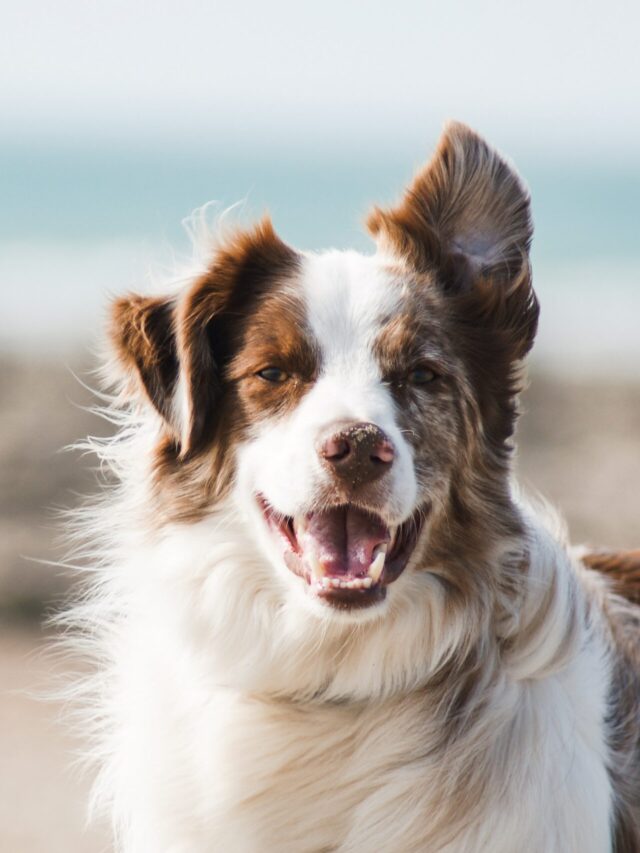pauline-loroy-U3aF7hgUSrk-unsplash