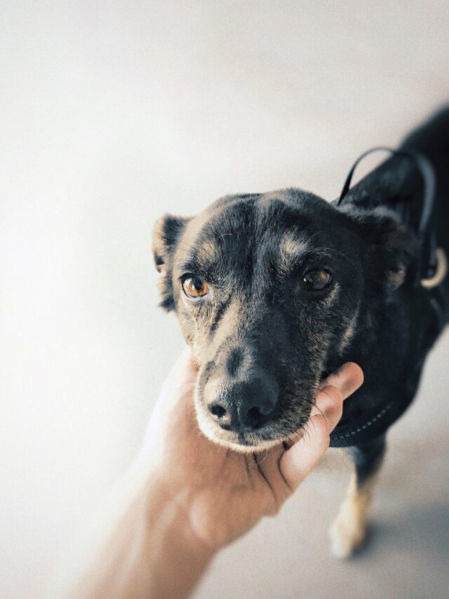 pavel-nekoranec-NY6UWHDu4fQ-unsplash